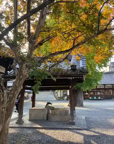 佛光寺(京都府)