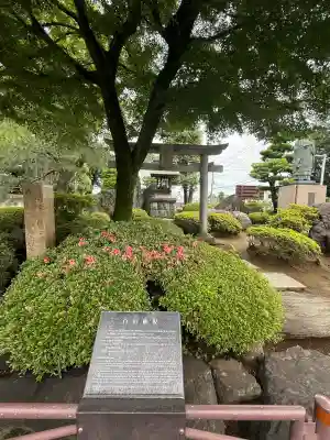 白山神社(埼玉県)