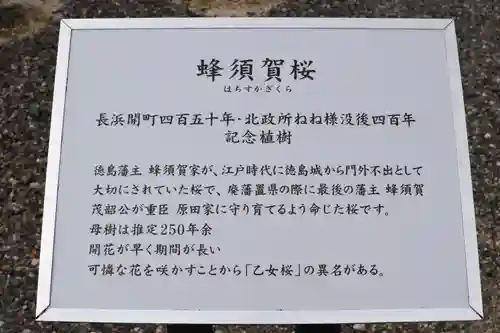 豊国神社の歴史