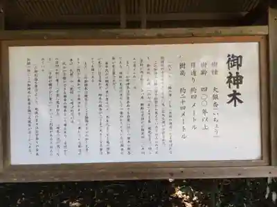 鎌数伊勢大神宮(千葉県)