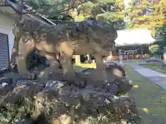 下鶴馬氷川神社の狛犬