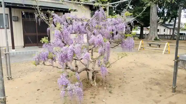 香取大神社(千葉県)