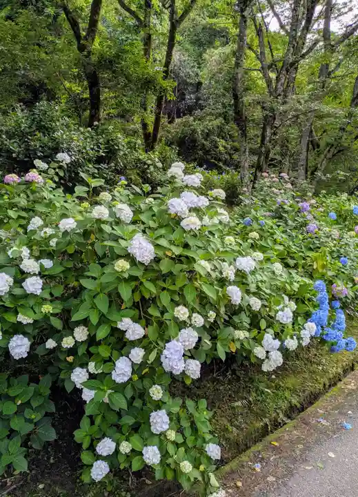 長弓寺(奈良県)