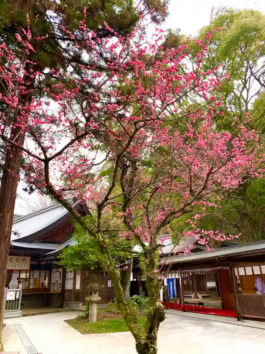 枚岡神社の庭園