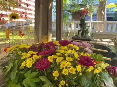 彌彦神社　(伊夜日子神社)の手水舎