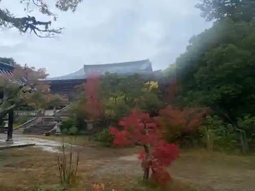 太山寺(兵庫県)