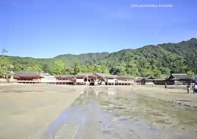 厳島神社(広島県)