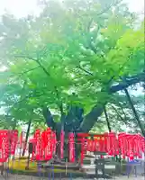 秩父今宮神社の自然