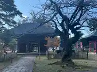 滑河山龍正院(千葉県)