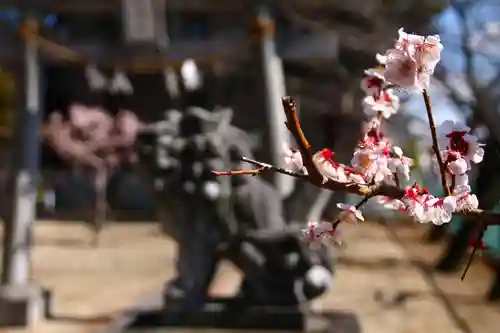 浅間神社(埼玉県)