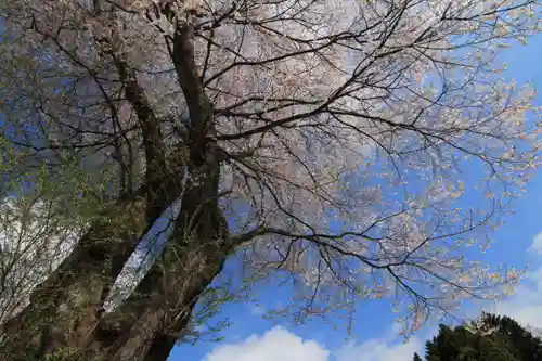 十一面観音堂の自然