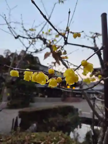 沙沙貴神社(滋賀県)