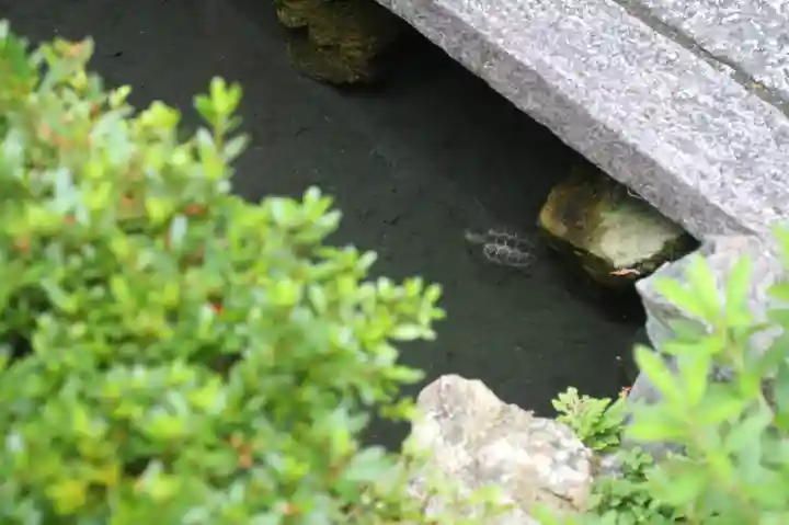 宝蔵寺(京都府)