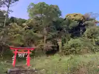 熊野神社の鳥居