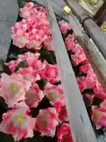 豊景神社(福島県)