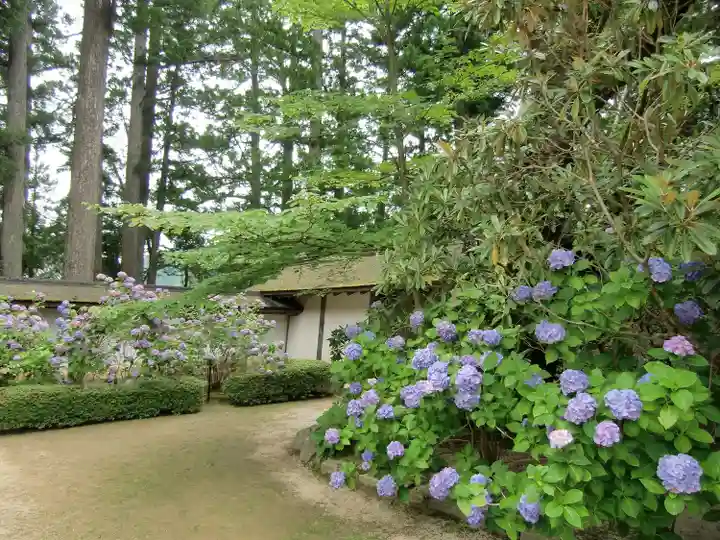 高野山金剛峯寺(和歌山県)