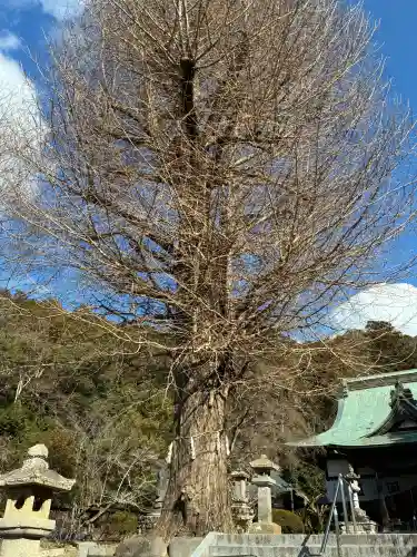 本立寺の{uncategorized: "未分類", other: "その他", undefined: "問題あり", building: "その他建物", grave: "お墓", sacred_gate: "鳥居", guardian: "狛犬", statue: "像", buddha: "仏像", history: "歴史", nature: "自然", garden: "庭園", animal: "動物", pagoda: "塔", temizu: "手水舎", mountain_gate: "山門・神門", sanctuary: "本殿・本堂", subordinate: "末社・摂社", art: "芸術", scenery: "景色", jizo: "地蔵", ema: "絵馬", goshuin: "御朱印", omikuji: "おみくじ", items: "授与品その他", amulet: "お守り", goshuincho: "御朱印帳", eats: "食事", festival: "お祭り", votive_dance: "神楽", shichigosan: "七五三参", wedding: "結婚式", experience: "体験その他", initially: "初詣", around: "周辺", anti_infection: "感染症対策"}