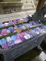 柳谷観音 楊谷寺(京都府)