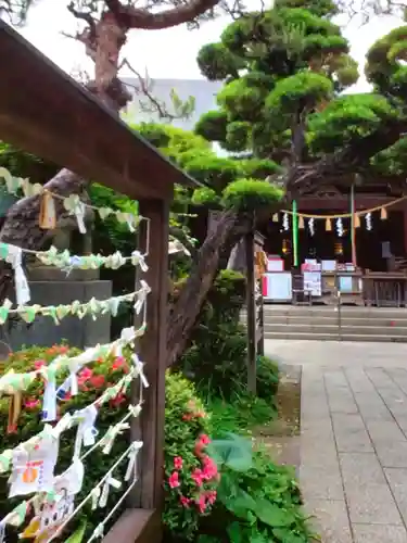 鳩森八幡神社(東京都)