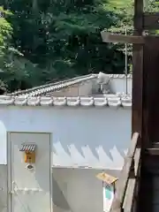 忠興八幡神社(愛知県)