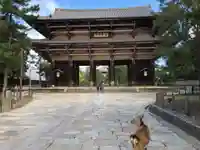 東大寺の山門・神門