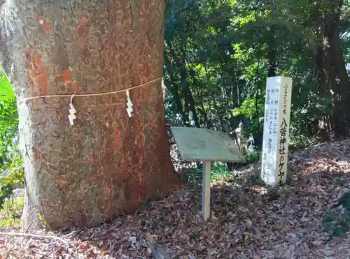 八菅神社(神奈川県)