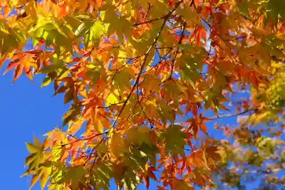 西明寺(京都府)