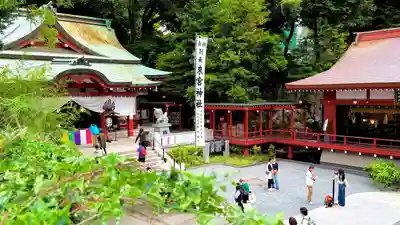 來宮神社(静岡県)