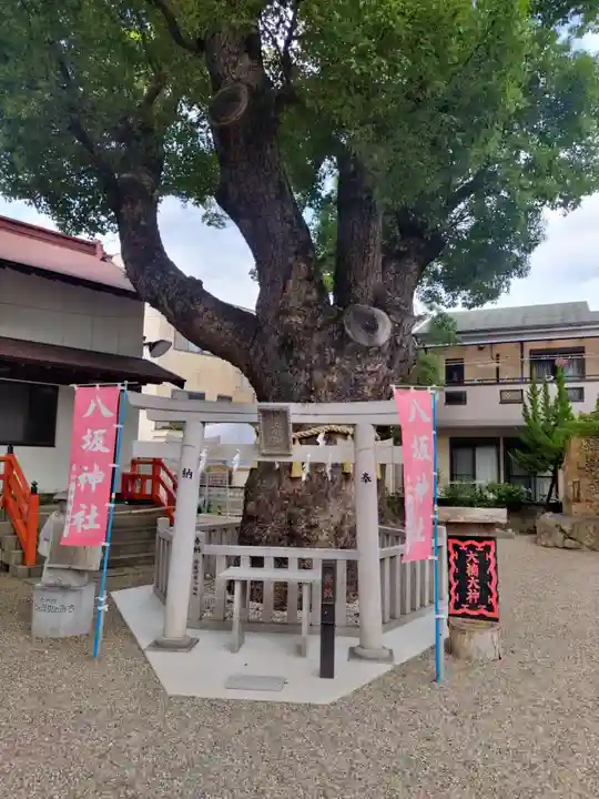 八坂神社(大阪府)
