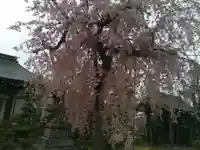 楽音寺(山梨県)