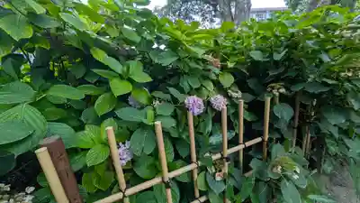 藤森神社(京都府)