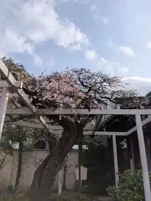 長善寺(東京都)