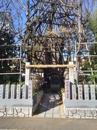 稲毛神社(神奈川県)