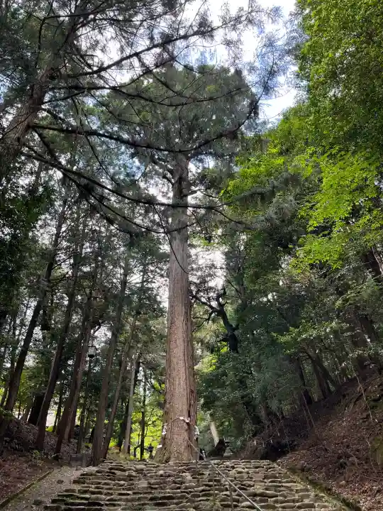 元伊勢内宮 皇大神社(京都府)