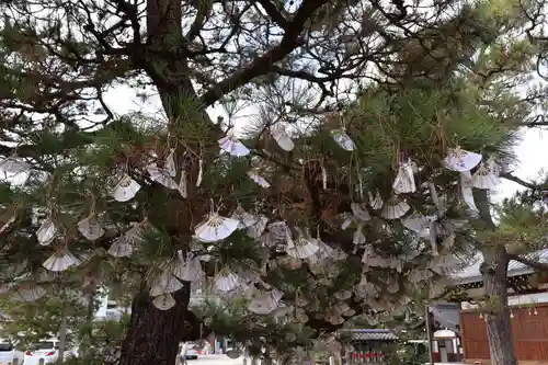 智恩寺(京都府)