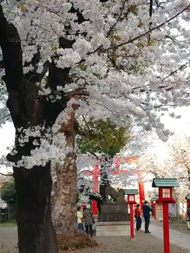 鷲宮神社のその他建物