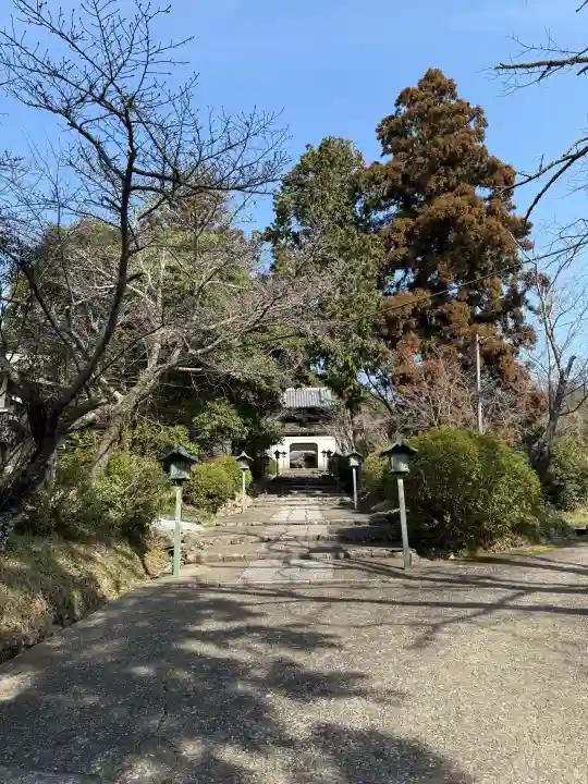 根来寺の{uncategorized: "未分類", other: "その他", undefined: "問題あり", building: "その他建物", grave: "お墓", sacred_gate: "鳥居", guardian: "狛犬", statue: "像", buddha: "仏像", history: "歴史", nature: "自然", garden: "庭園", animal: "動物", pagoda: "塔", temizu: "手水舎", mountain_gate: "山門・神門", sanctuary: "本殿・本堂", subordinate: "末社・摂社", art: "芸術", scenery: "景色", jizo: "地蔵", ema: "絵馬", goshuin: "御朱印", omikuji: "おみくじ", items: "授与品その他", amulet: "お守り", goshuincho: "御朱印帳", eats: "食事", festival: "お祭り", votive_dance: "神楽", shichigosan: "七五三参", wedding: "結婚式", experience: "体験その他", initially: "初詣", around: "周辺", anti_infection: "感染症対策"}