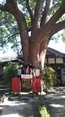 川邊八幡神社の建物その他