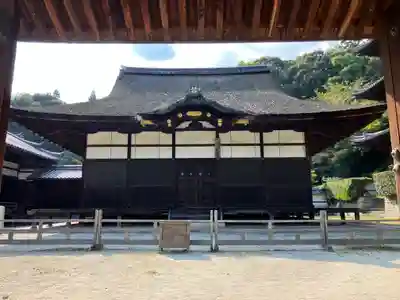 園城寺（三井寺）(滋賀県)