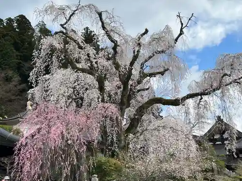 久遠寺(山梨県)
