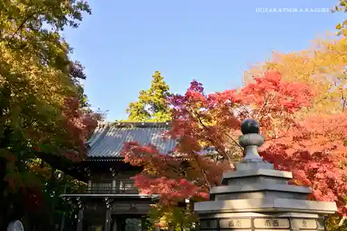 高尾山薬王院のその他建物