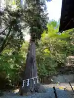 鹿嶋神社(福島県)