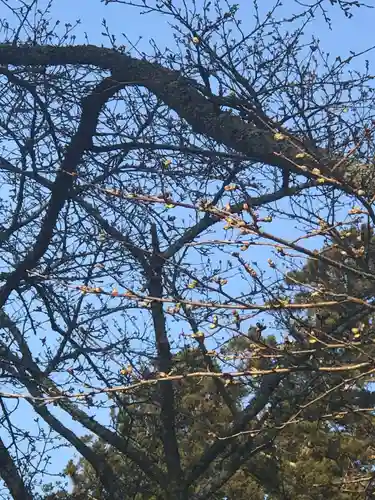 正一位 若草稲荷神社の自然