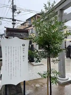 出雲大社埼玉分院(埼玉県)