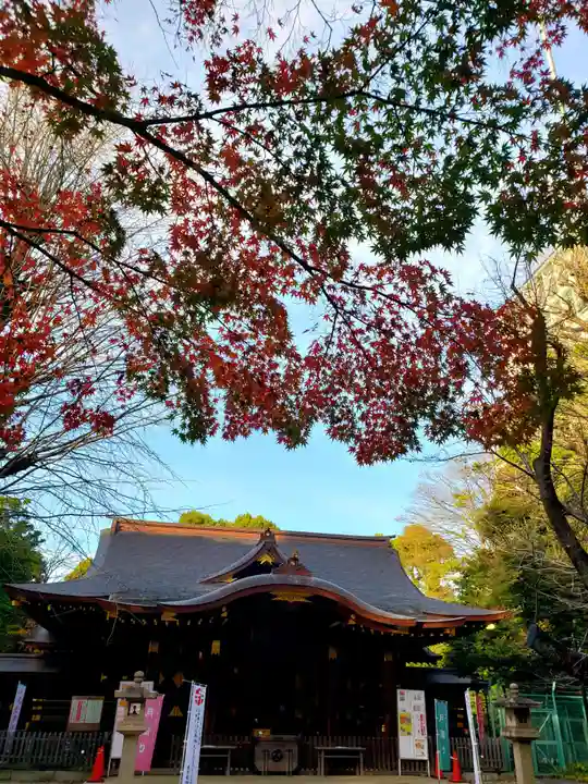 渋谷氷川神社(東京都)
