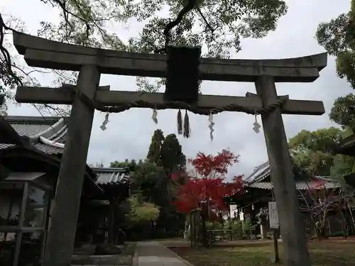 新熊野神社(京都府)
