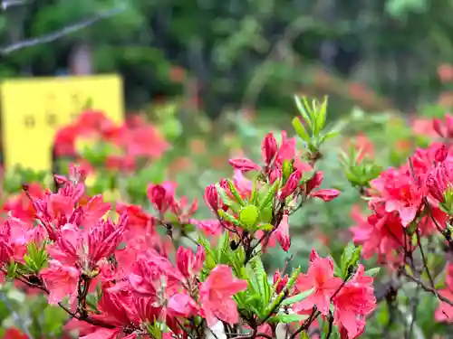 山の神神社(長野県)