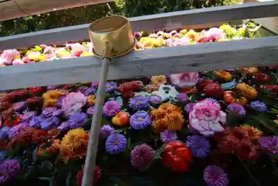 豊景神社の手水舎