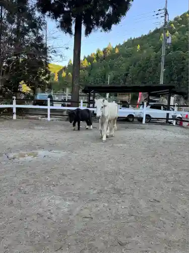 丹生川上神社（下社）(奈良県)