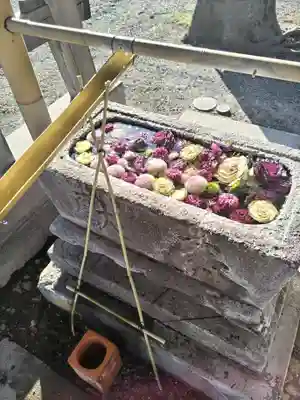 相模原氷川神社(神奈川県)